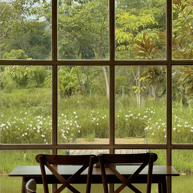 Meadow View Ratchaburi 🤎🎞️🧸💐🪑🍃