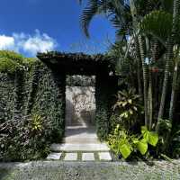 Summering in Bali 