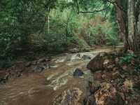 เดินป่า 5 วัน 4 คืน ที่แม่ฮ่องสอน Doister Hardtrek