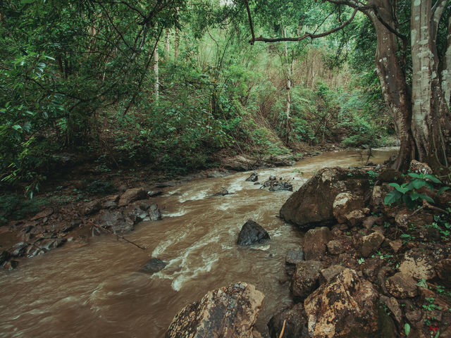 เดินป่า 5 วัน 4 คืน ที่แม่ฮ่องสอน Doister Hardtrek