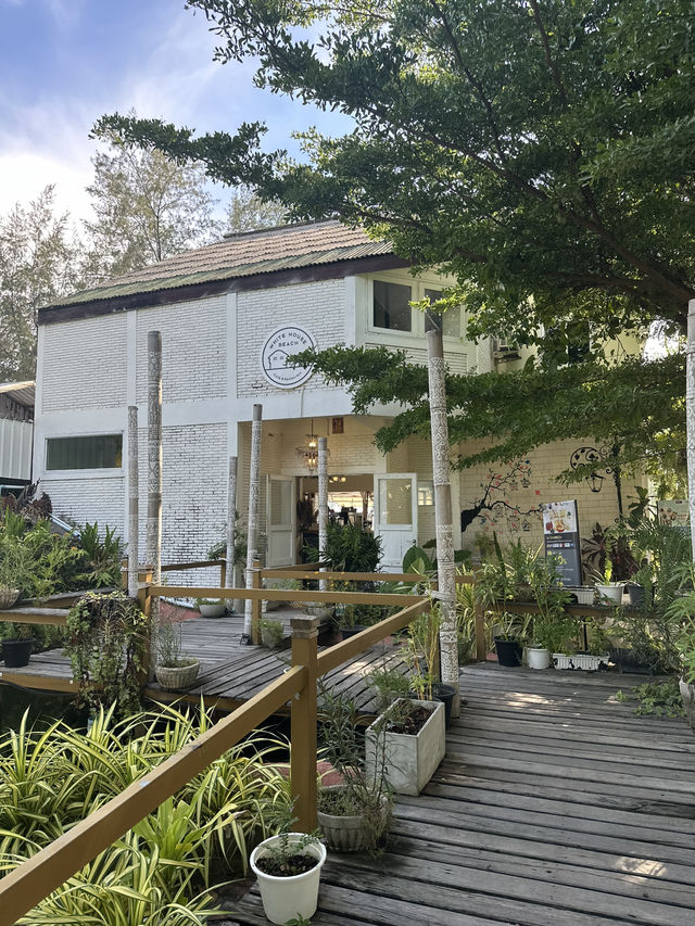White House Beach Café & Restaurant จ.ชลบุรี