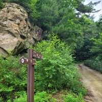 Forest Feels & Quite Trails at Bokjusan 