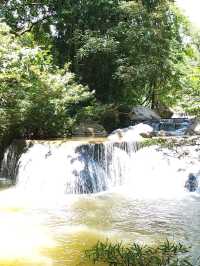 Assana Cafe KhaoYai คาเฟ่สุดชิว ติดริมน้ำตก
