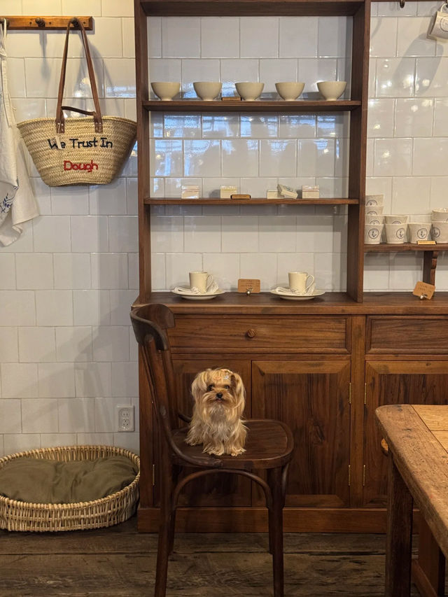 In Dough We Trust, Shanghai