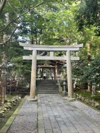 ⛩越後の心に触れる旅「彌彦神社」で静寂と神聖に包まれる時間