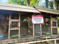 บ้านไร่รัตนคาเฟ่ ban rai rattana cafe 