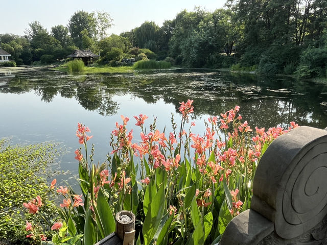 🌿 Huanhuaxi Park – A Calm Escape in the Heart of Chengdu