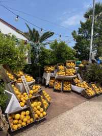 Kids friendly cafe and activity in Jeju