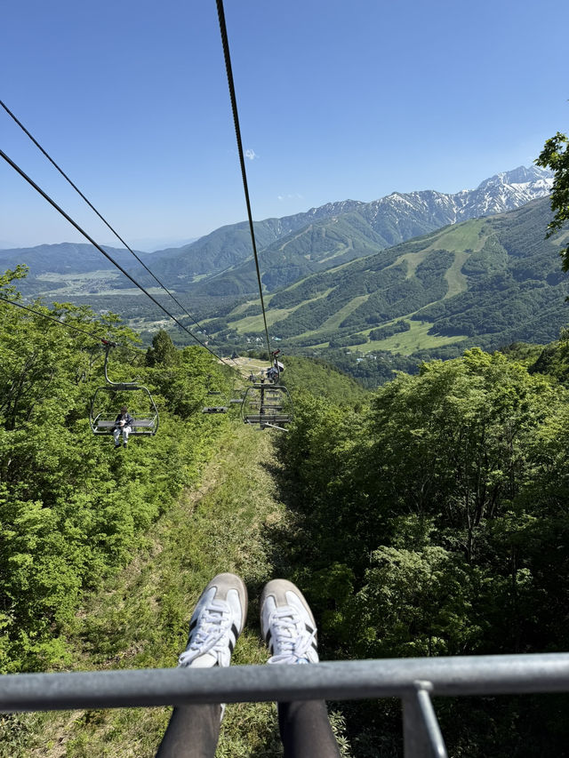 Takayama in June 2025