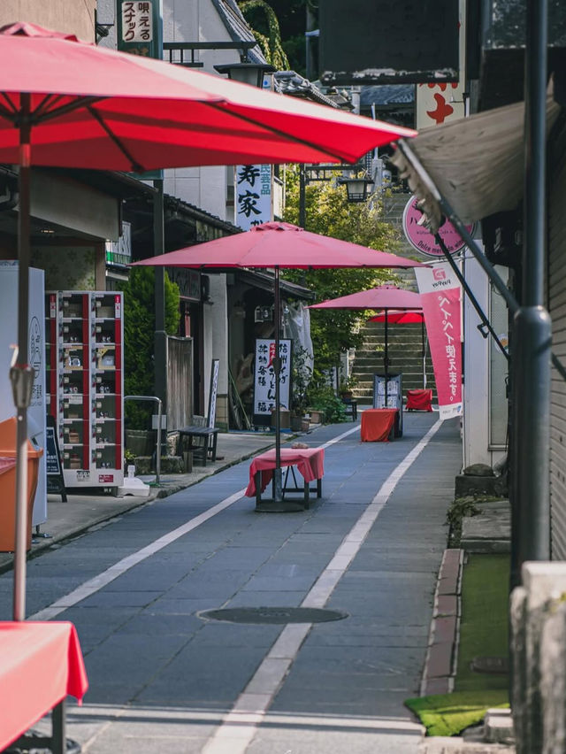 🚂長野・野辺山高原｜標高1,345mの天空リゾートで爽やかトリップ