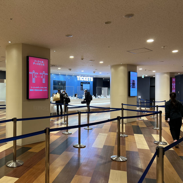 🗼 Tokyo Tower – Classic Icon with Timeless Views