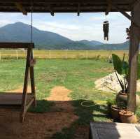 cozy and rustic accommodation that blends natural charm with a peaceful atmosphere