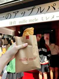 🌸⛩️ 3D2N Mt. Fuji, Hakone & Kamakura Scenic Escape! 🗻🚞✨