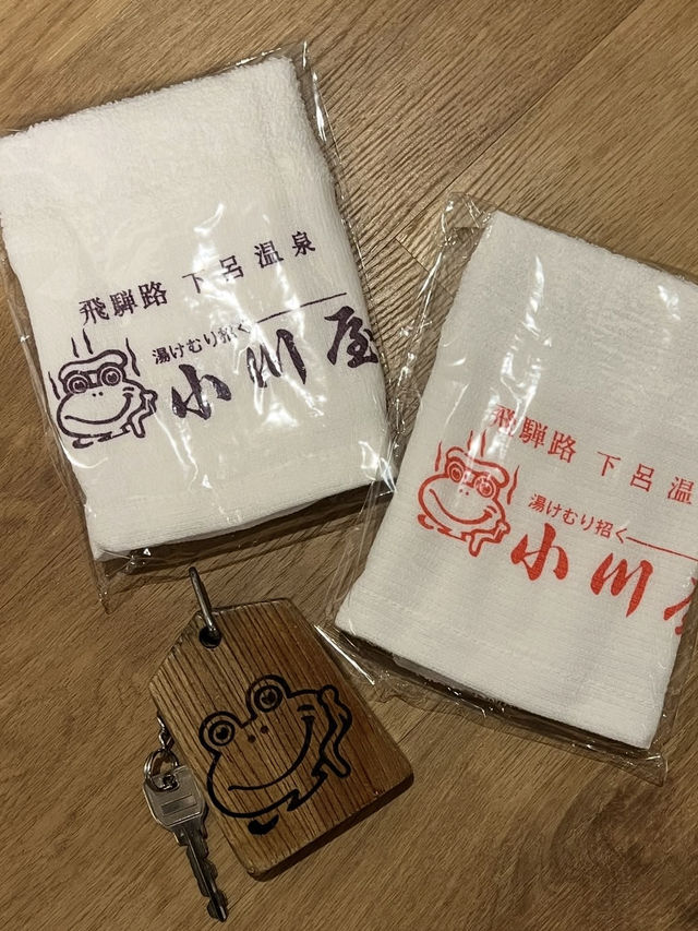 【日本三名泉のひとつ】下呂温泉で心も体もととのう旅  