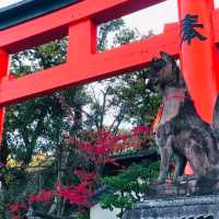 朱色の鳥居に包まれた心の旅