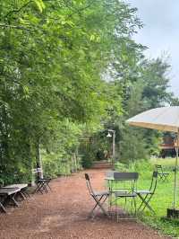 🏡🌾 Barn Naa Cafe – คาเฟ่บ้านกลางนา ที่ละมุนหัวใจ