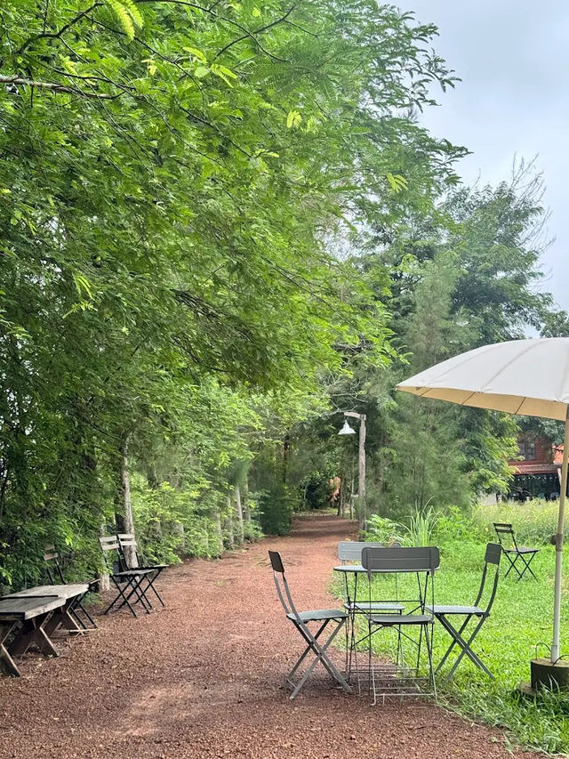 🏡🌾 Barn Naa Cafe – คาเฟ่บ้านกลางนา ที่ละมุนหัวใจ