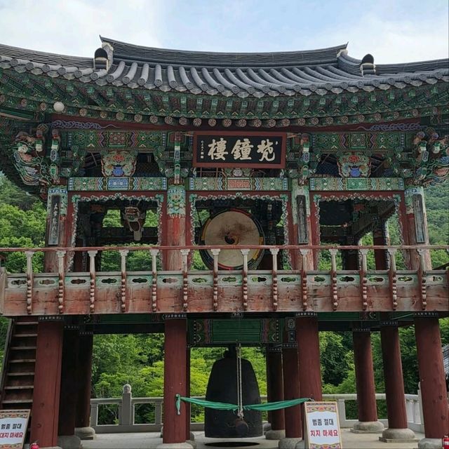 History, Nature & Zen Vibes at Pyochungsa Temple