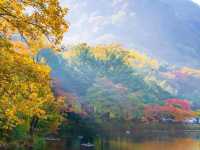 Korea’s Autumn Season