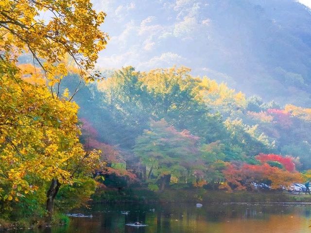Korea’s Autumn Season