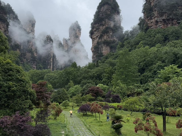 🌍帶著攻略走進阿凡達的世界！張家界黃石寨，讓你感受什麼叫「自然面前，煩惱都變小了」🪨🌿