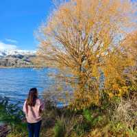 Halfway to Everywhere: Stunning Sights at Lake Dunstan and the 45th Parallel!
