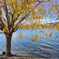 Halfway to Everywhere: Stunning Sights at Lake Dunstan and the 45th Parallel!