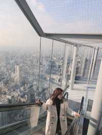 Tokyo Highlights: Crossing Moments & Skyline Dreams