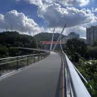  Harmony Bridge: Xiamen’s Skywalk Where Nature & Modern Design Embrace!