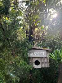 คาเฟ่ในสวนสวยสไตล์อังกฤษ • 🧺🥐☕️🌿🍂