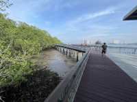 🌿 Morning Escape to Nature at Sungei Buloh Wetland Reserve 🐊🦅🌞