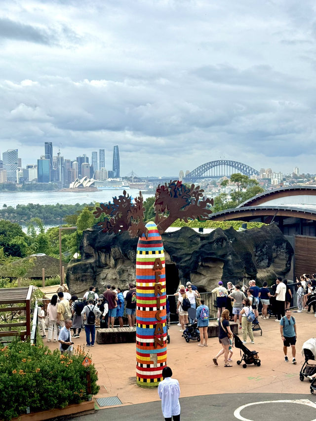 🦒🐨 Wild Day Out at Taronga Zoo Sydney! 🌿🌊