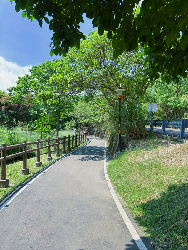 🌿桃園都市綠洲輕旅行｜茄苳溪自行車道：高架下的靜謐綠徑，漫步溪畔小秘境