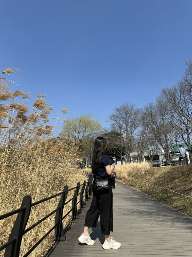 🌅분위기 미쳤다! 대구 수성못 야외데이트 코스 추천💑