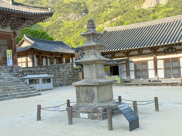 부안 당일치기 여행지로 딱인 내소사 🌳