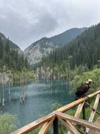 Discover the Enchanting Kaindy Lake in Kazakhstan 🇰🇿 