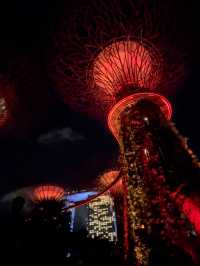 ✨🌿 รีวิวเริ่ด ๆ ของ Gardens by the Bay 🌿✨