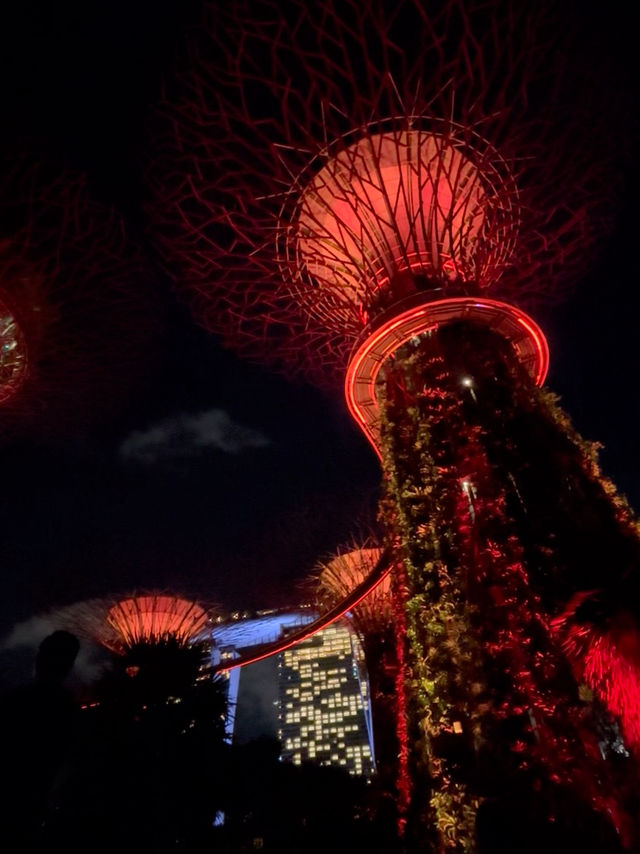 ✨🌿 รีวิวเริ่ด ๆ ของ Gardens by the Bay 🌿✨