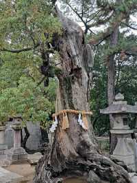SUMIYOSHI TAISHA.