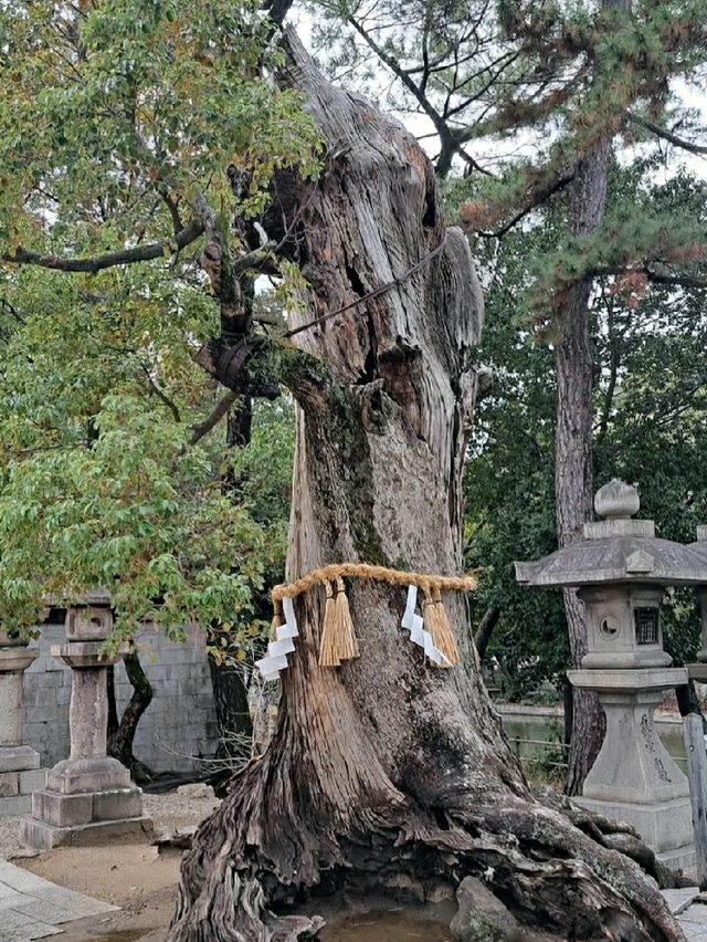 SUMIYOSHI TAISHA.
