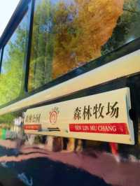 內蒙古5 天遊攻略🌳｜莫爾道嘎森林小火車📷