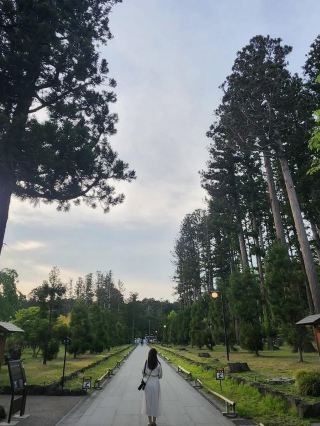 Matsushima Getaway: How to Plan a 2-Day, 1-Night Trip?