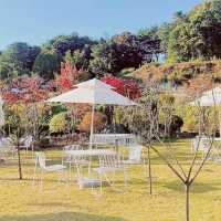 Gieok and Gieok Cafe
