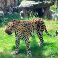 ～南平九峰動物園是～可愛動物園～