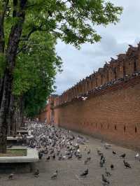 ประตูท่าแพ (Tha Phae Gate) 