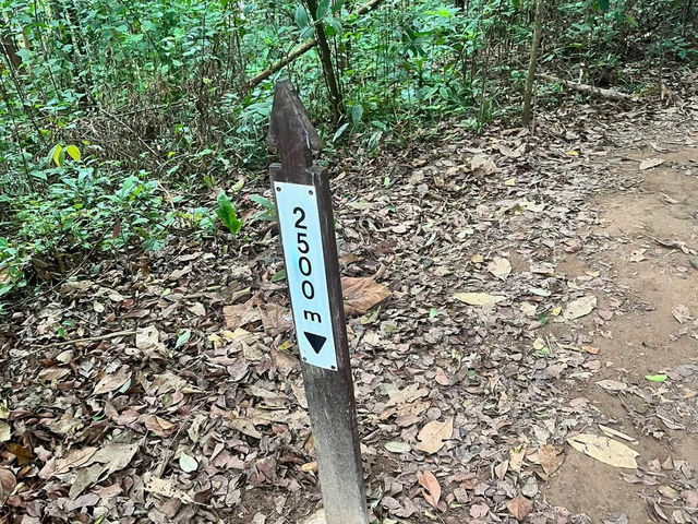 🏞 Gunung Lambak: Conquered the Jungle Beast!