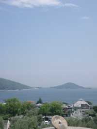 【小豆島】オリーブ🫒の緑と青空と白のコントラストが美しき！
