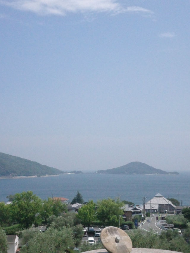 【小豆島】オリーブ🫒の緑と青空と白のコントラストが美しき！