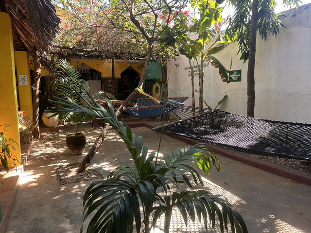 【Nungwi Backpacker Apartments／Homeland Swahili Lodge】