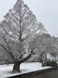 吉香公園-吉川廣家公
